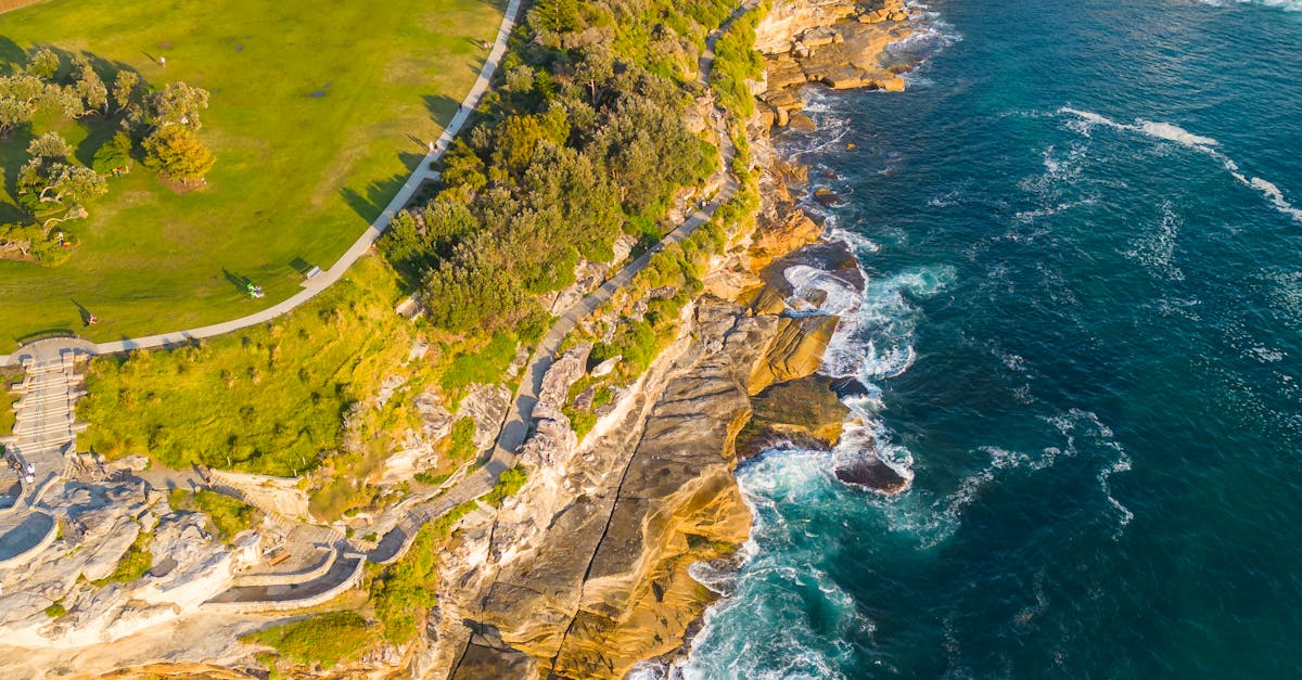 What does prevent backflow mean?