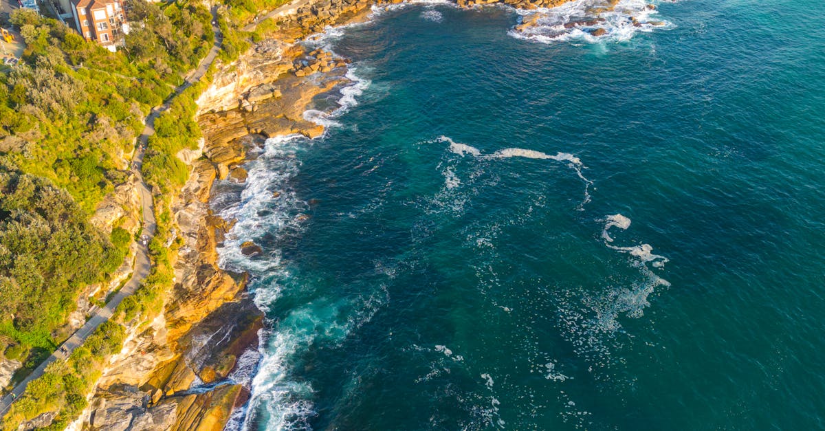 What is the purpose of backflow prevention?